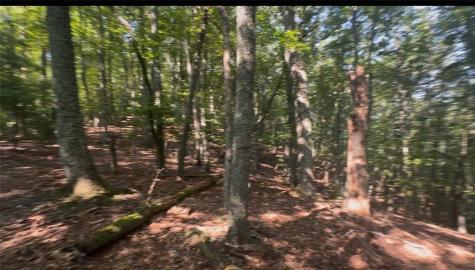 0 Brooks Ridge Road Mineral Bluff GA 30559