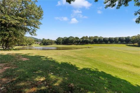 1057 Orchard Drive Clarkesville GA 30523