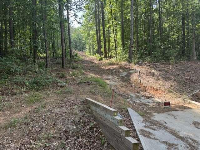 108 Sawtooth Place Carnesville GA 30521