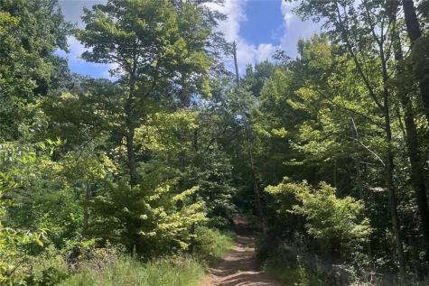 00 Firetower Road Jasper GA 30143