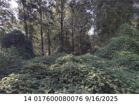00 Newman Place NW Atlanta GA 30318