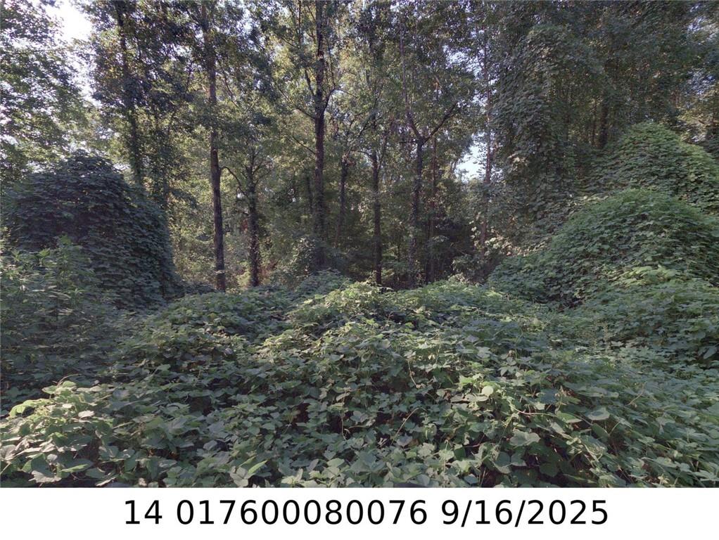 00 Newman Place NW Atlanta GA 30318