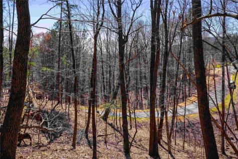 456 Yates Circle Clarkesville GA 30523