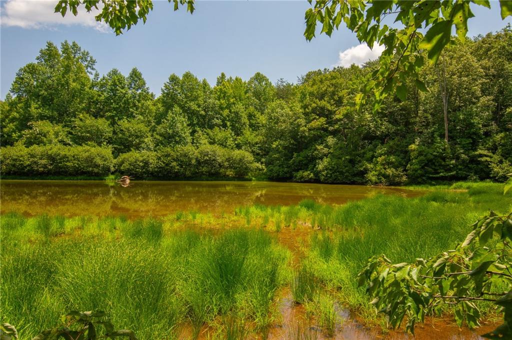 00 Porter Springs Road Dahlonega GA 30533