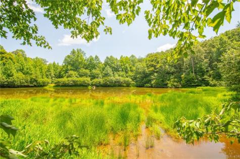 00 Porter Springs Road Dahlonega GA 30533