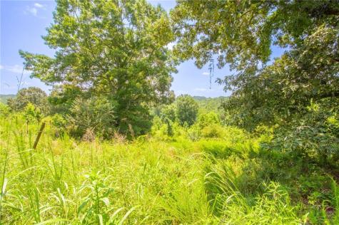 00 Porter Springs Road Dahlonega GA 30533