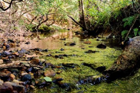 Lot A Porter Springs Road Dahlonega GA 30533