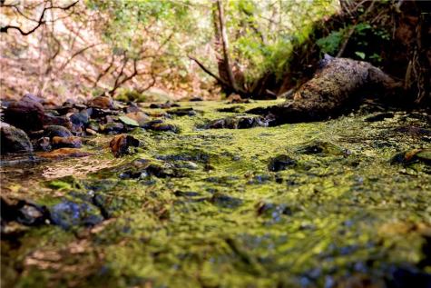 Lot A Porter Springs Road Dahlonega GA 30533