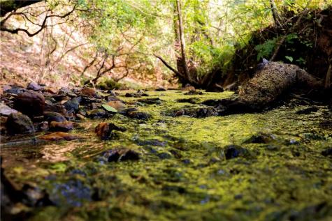 Lot A Porter Springs Road Dahlonega GA 30533