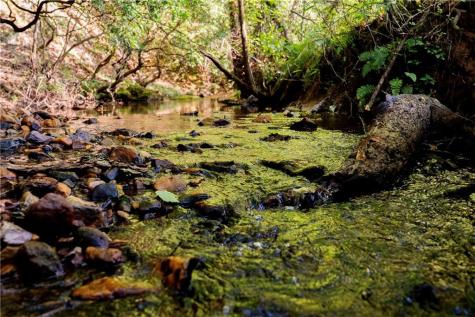 Lot A Porter Springs Road Dahlonega GA 30533