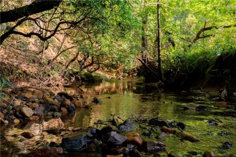 Lot A Porter Springs Road Dahlonega GA 30533