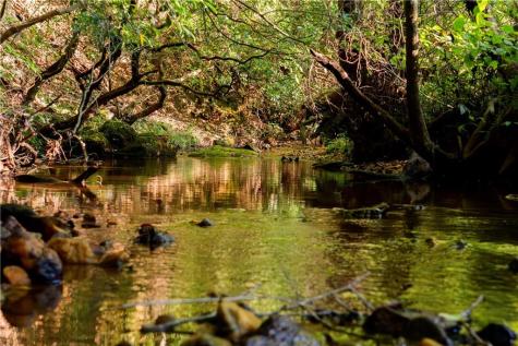 Lot A Porter Springs Road Dahlonega GA 30533