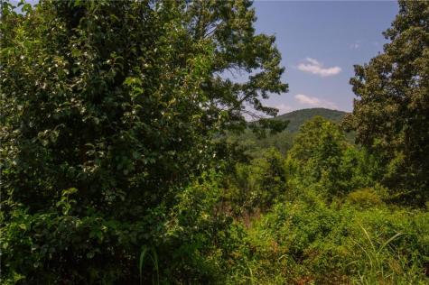 00 Porter Springs Road Dahlonega GA 30533