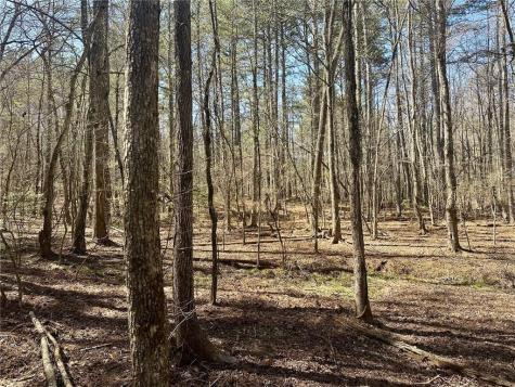 555 Larmon Forks Road Dahlonega GA 30533