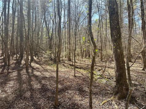 555 Larmon Forks Road Dahlonega GA 30533