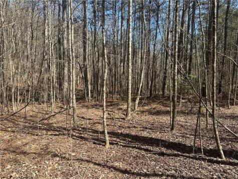 555 Larmon Forks Road Dahlonega GA 30533