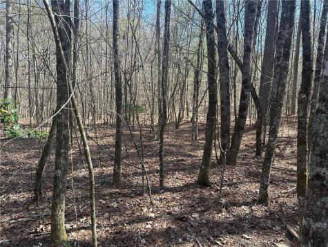 555 Larmon Forks Road Dahlonega GA 30533