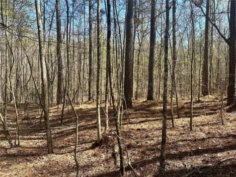 555 Larmon Forks Road Dahlonega GA 30533