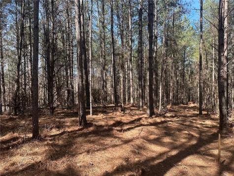 555 Larmon Forks Road Dahlonega GA 30533