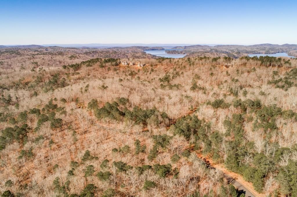 39 Harris Creek Drive Ellijay GA 30540