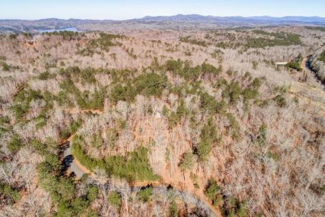 39 Harris Creek Drive Ellijay GA 30540