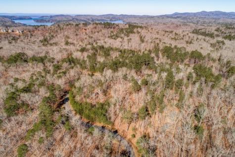 39 Harris Creek Drive Ellijay GA 30540