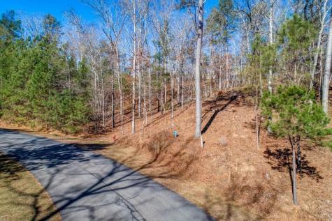39 Harris Creek Drive Ellijay GA 30540