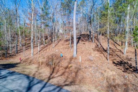 39 Harris Creek Drive Ellijay GA 30540
