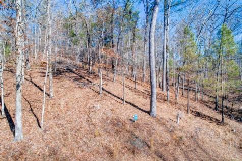 39 Harris Creek Drive Ellijay GA 30540