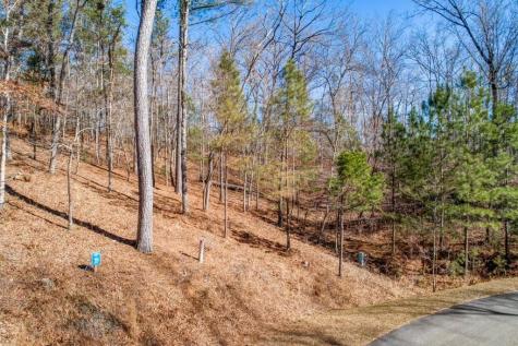 39 Harris Creek Drive Ellijay GA 30540