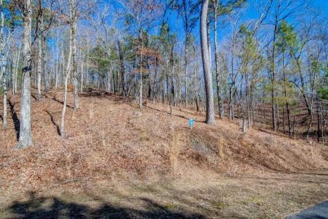 39 Harris Creek Drive Ellijay GA 30540