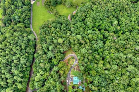 Lot 5b Toccoa River Forest Mineral Bluff GA 30559