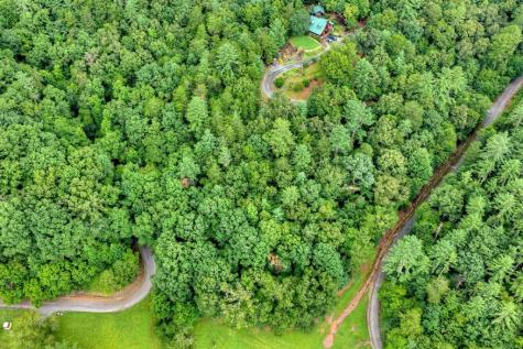Lot 5b Toccoa River Forest Mineral Bluff GA 30559