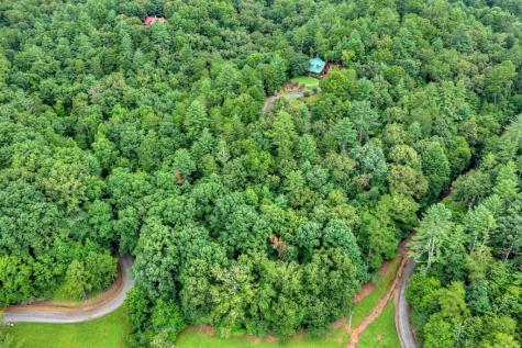 Lot 5b Toccoa River Forest Mineral Bluff GA 30559