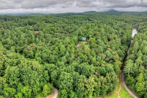 Lot 5b Toccoa River Forest Mineral Bluff GA 30559