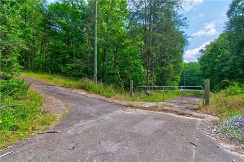 6439 S Chestatee Street Dahlonega GA 30533