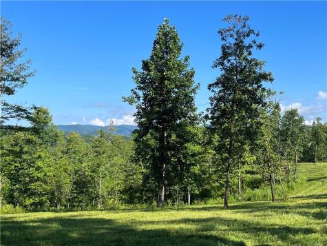 Lot 1 Highway 52 W Dahlonega GA 30533