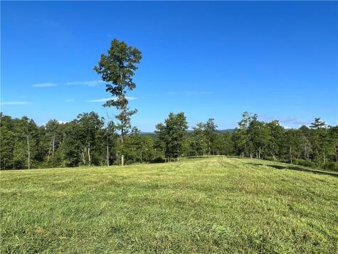 Lot 1 Highway 52 W Dahlonega GA 30533