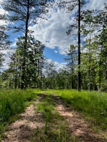Lot 1 Highway 52 W Dahlonega GA 30533
