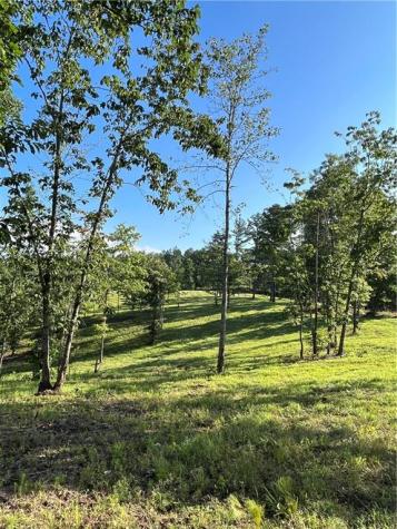 Lot 1 Highway 52 W Dahlonega GA 30533