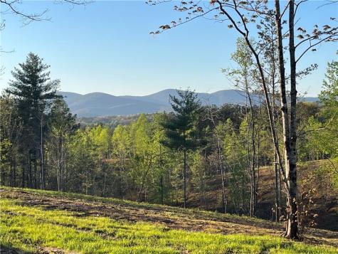 Lot 1 Highway 52 W Dahlonega GA 30533