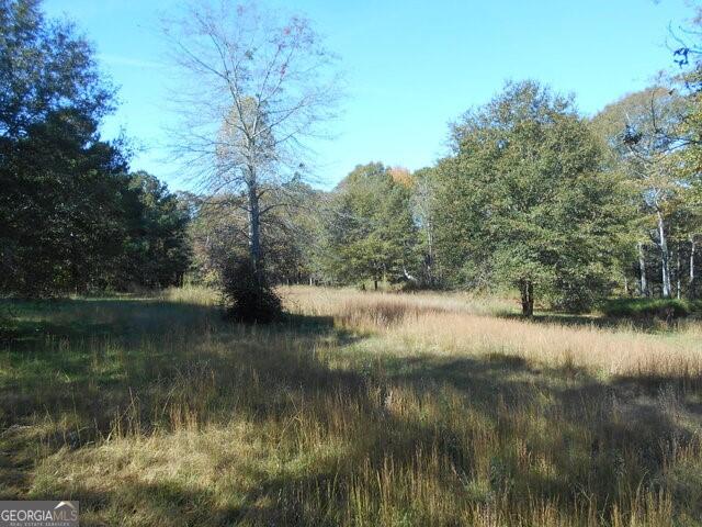1230 Good Hope Road Monroe GA 30655