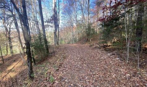 1 Barefoot Hills Hiawassee GA 30546