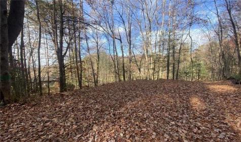 1 Barefoot Hills Hiawassee GA 30546