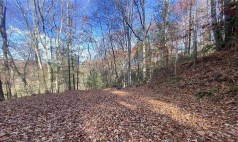 1 Barefoot Hills Hiawassee GA 30546