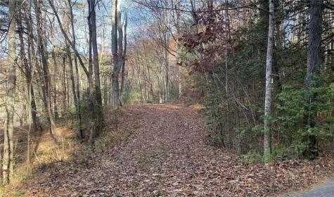 1 Barefoot Hills Hiawassee GA 30546