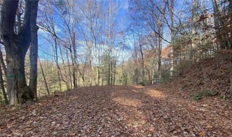 1 Barefoot Hills Hiawassee GA 30546