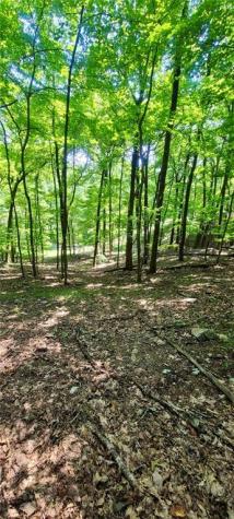 1649 Moss Patch Trail Jasper GA 30143