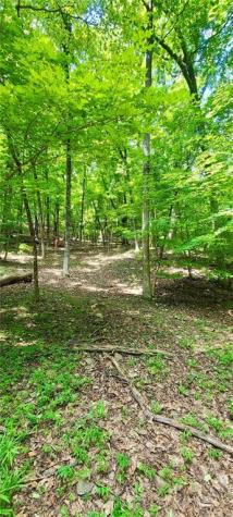 1649 Moss Patch Trail Jasper GA 30143