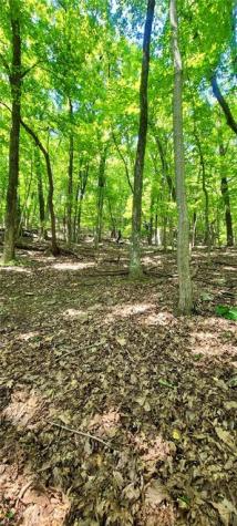1649 Moss Patch Trail Jasper GA 30143